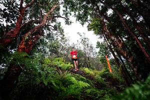 BIB: 
                            <button type="button" onclick="openModal(26203326)" class="btn btn-primary btn-sm float-right btn-popup" data-toggle="modal" data-target=".modal-high-quality">
                        <i class="fas fa-shopping-cart"></i> Add to Cart
                    </button>
                                            <button type="button" onclick="isThisMe(26203326, true)" class="btn btn-success btn-sm float-right btn-popup btn-isme hidden" data-toggle="tooltip" data-placement="bottom" title="นี่คือรูปของคุณใช่ไหม คลิกที่นี่เพื่อเอาเข้าอัลบั้ม">
                        <i class="fas fa-plus"></i> Add to album
                    </button>
                    <button type="button" onclick="isThisMe(26203326, false)" class="btn btn-warning btn-sm float-right btn-popup btn-isnotme hidden">
                        <i class="fas fa-ban"></i> Remove from album
                    </button>